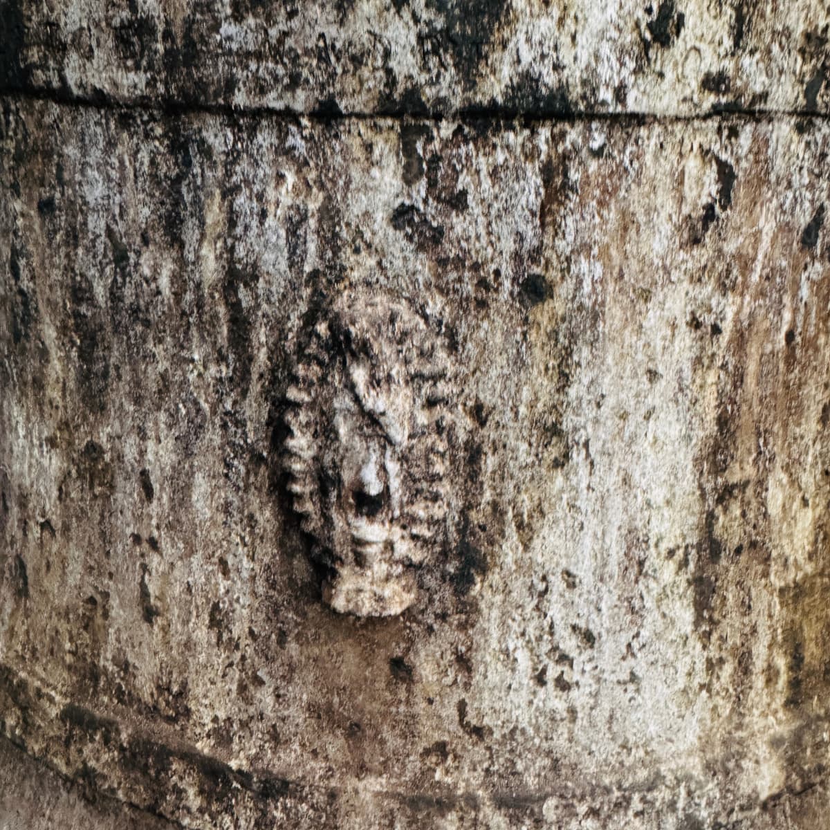 Copia de Cristo crucificado de tres clavos (82)